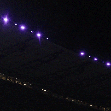 Bow Down University Of Washington GIF by Washington Athletics