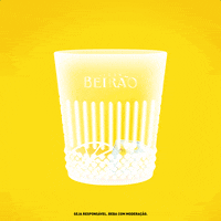 Portugal Amigos GIF by Licor Beirão