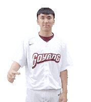 키움히어로즈 Sticker by Kiwoom Heroes Baseball Club