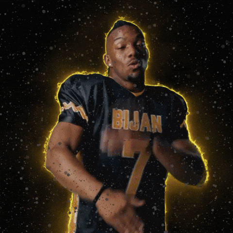 Atlanta Falcons Football GIF by Bijan Mustardson