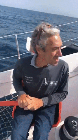 guycotten giphyupload GIF