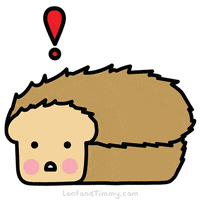 loofandtimmy no what omg kawaii GIF