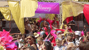 Carnival Trinidad GIF by Winery Mas