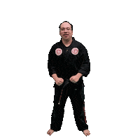 Karate Taekwondo Sticker by Team GMA