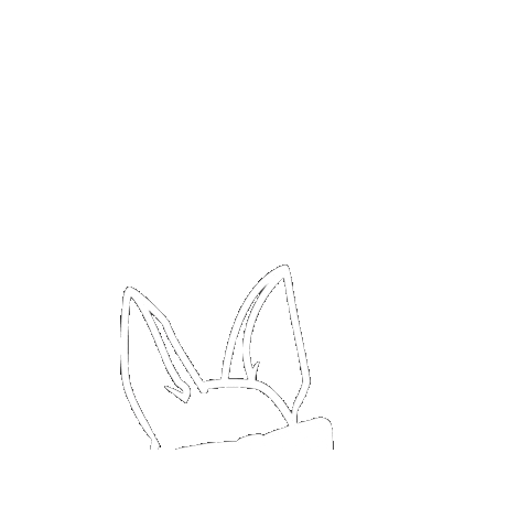 PawsForWalks dog white dog walker pet sitter Sticker