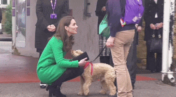 Kate Middleton GIF by GIPHY News