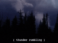 season 2 GIF by Twin Peaks on Showtime
