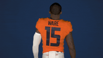 Illinois Football No GIF by Fighting Illini Athletics