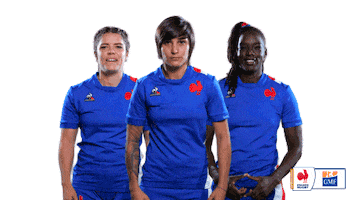 Equipe De France Sticker by GMF