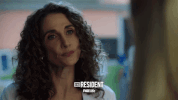 the resident fox GIF