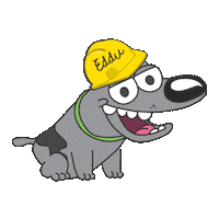 eddu edducity Sticker