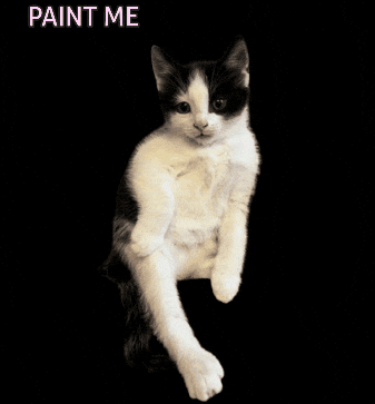 Kitten Love Cat GIF