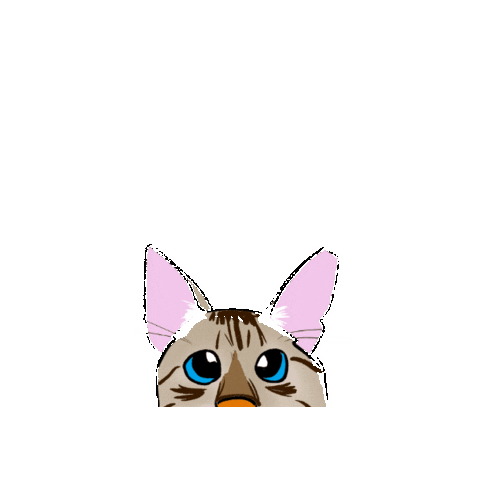 leliomesmo music cat phone gato Sticker