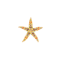 Seaside Sticker by Les Petits Joueurs