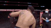 Sport Mma GIF by UFC