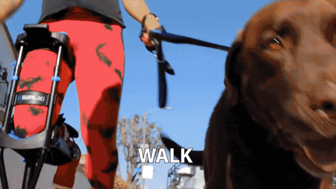 iWALKGifs giphyupload crutches iwalkfree iwalk hands-free crutch GIF