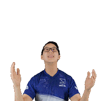 Please Sticker by LDLC OL