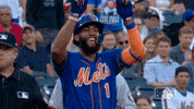 celebrate ny mets GIF by New York Mets