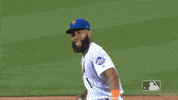 Ny Mets Sport GIF by New York Mets