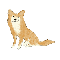 Dog Wink Sticker by Andrea Caceres