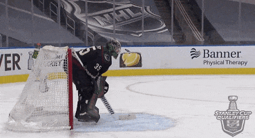 Celebrate Ice Hockey GIF by NHL
