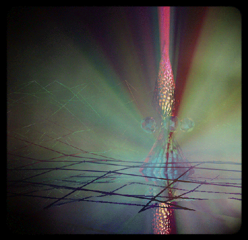 GIF by Todd Rocheford