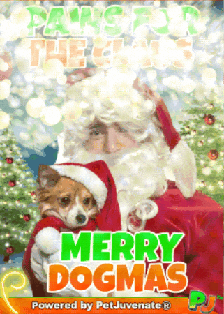 PetJuvenate giphyupload GIF