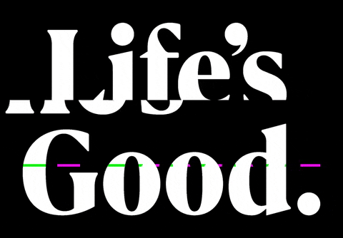 lifesgoodlg giphygifmaker lg life is good lifesgood GIF