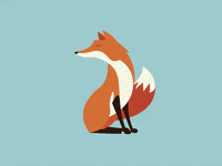 animation fox GIF