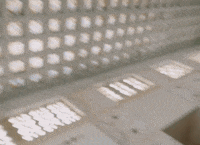 Young Wheezy GIF by NAV