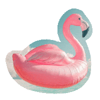 Summer Floaties Sticker by Qiddiya