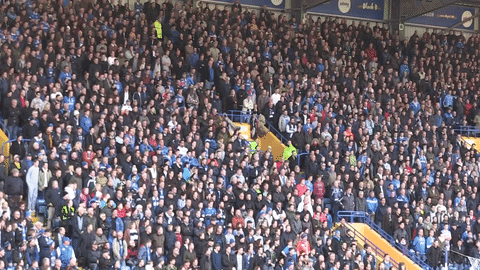 pompey #pompeygif GIF by Portsmouth Football Club