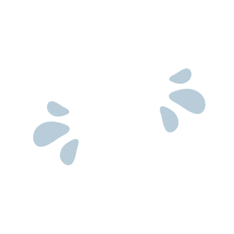 Fun Summer Sticker by Our Second Nature