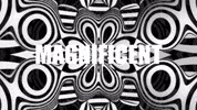 Black And White Wow GIF