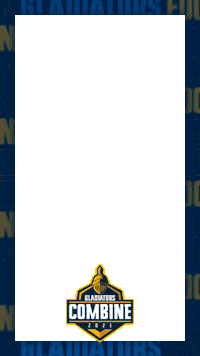 Nfl Frame Sticker by Gladiators Football