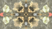 Art Film GIF by jorgemariozuleta