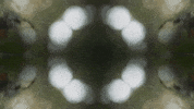 Art Film GIF by jorgemariozuleta