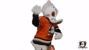 I Cant Hear You Lets Go GIF by Anaheim Ducks