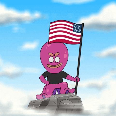 American Usa GIF by Octo Gaming