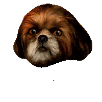 Bet Apostas Sticker by Bet.pt