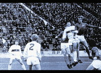 GIF by #FCDK