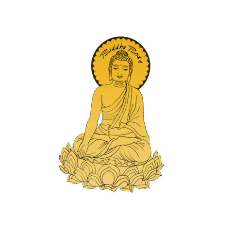 Buddhabodyorganics giphyupload vegan organic skin care Sticker