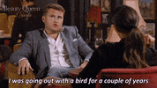 bird omg GIF by Stellify Media