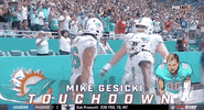 Miami Dolphins Football GIF by NFL