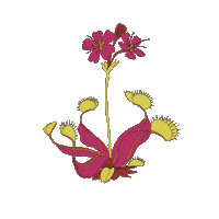 Flowers Bouquet Sticker by Katy Perry