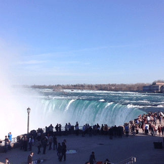 Niagara wine tours
