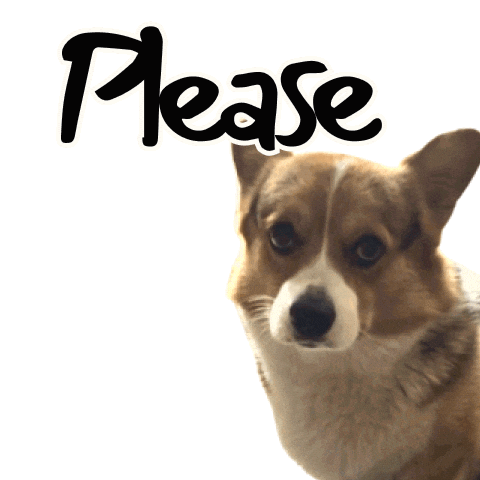 Corgi Please Sticker