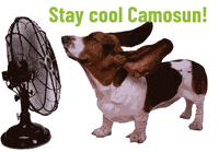 GIF by Camosun