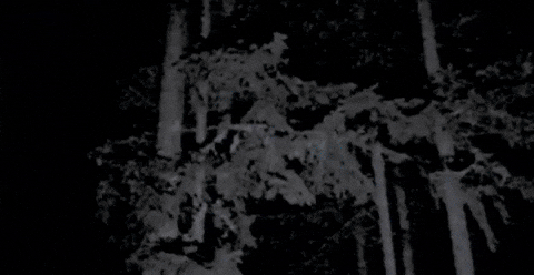 Music Video Smoking GIF