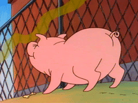heyarnold nicksplat hey arnold GIF